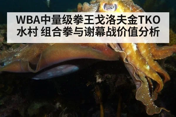 WBA中量级拳王戈洛夫金TKO水村 组合拳与谢幕战价值分析
